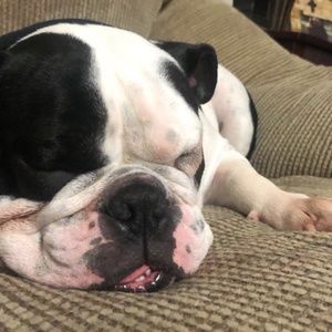 Meet your Posher, Nichole